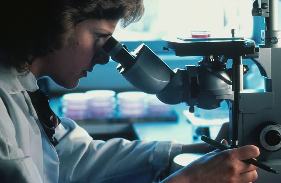 Microscope